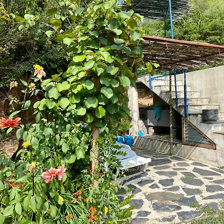 Romantic With En Bathroom For Private Use Figueiro Dos Vinhos