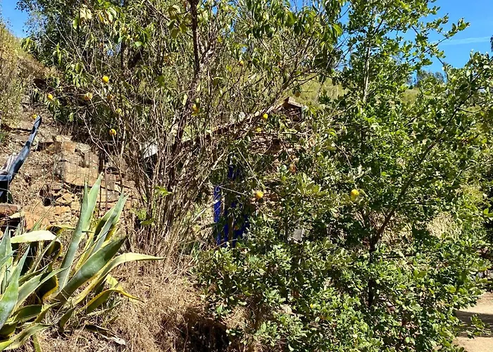 Romantic With En Bathroom For Private Use فيغيرو دو فينوس