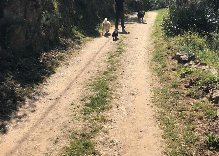 Romantic With En Bathroom For Private Use 3*