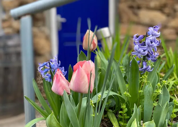 Romantic With En Bathroom For Private Use 3* فيغيرو دو فينوس